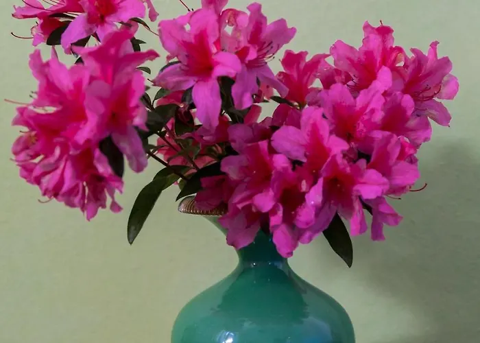 Stresa Nearby Panoramic Maggiore View